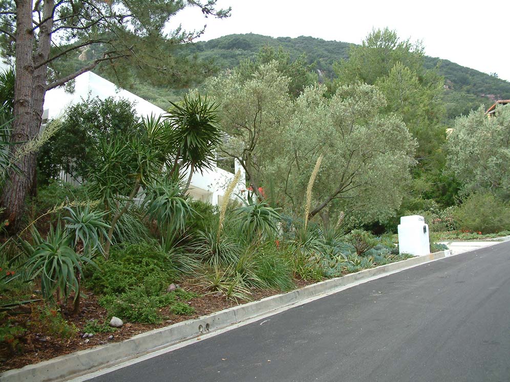 California Greek Garden 1