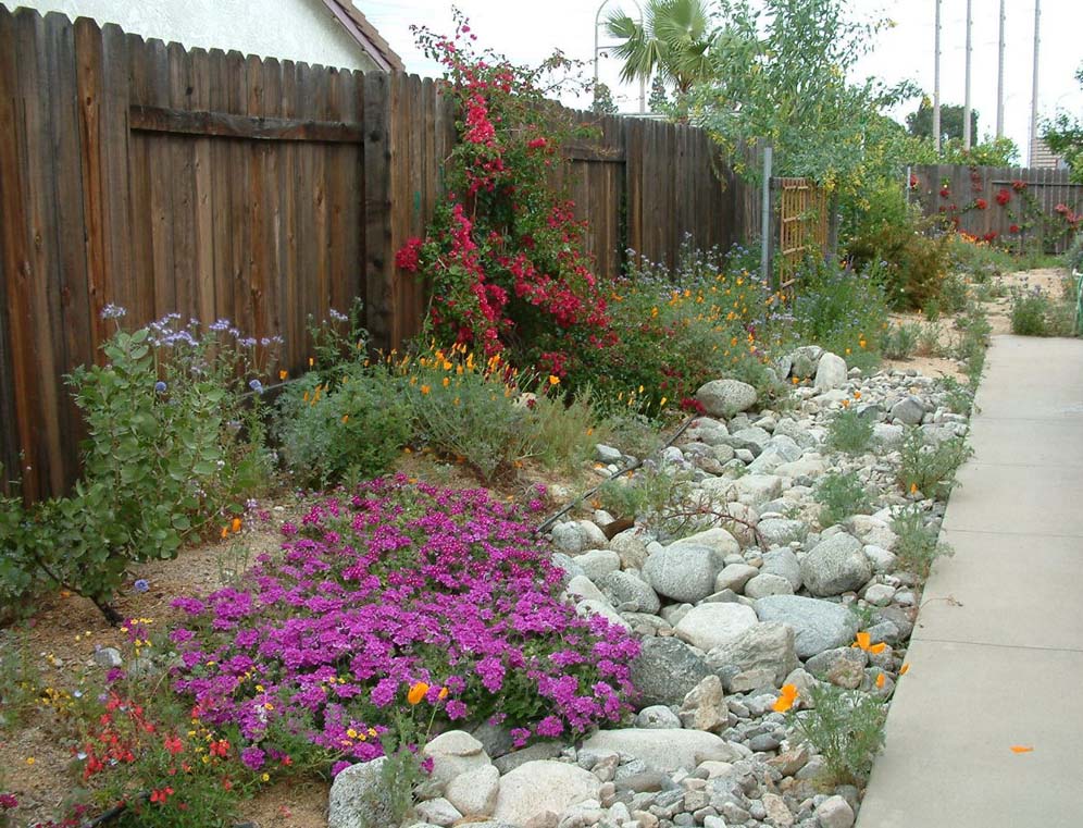 Dry Creek Bed in the Side Yard