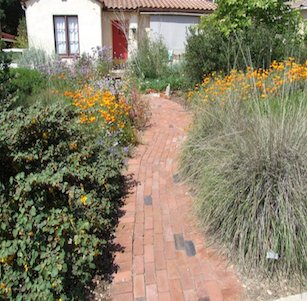 Gold Native Garden