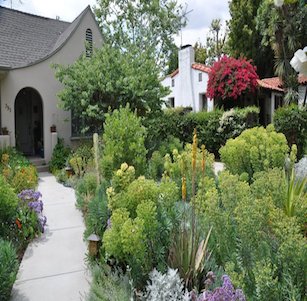 Euphorbia Garden