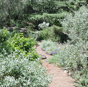 Wildlife Habitat Garden