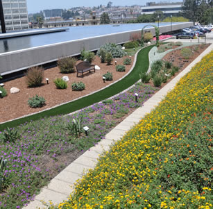 JFB Demonstration Garden