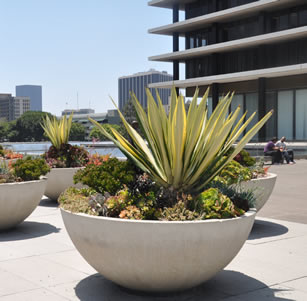 LADWP Building and Grounds