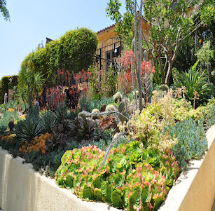 Raised Planters