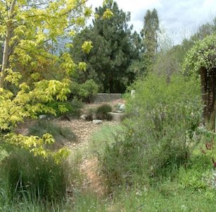 Rancho Santa Ana Botanic Garden