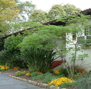 Sycamore Shade Garden