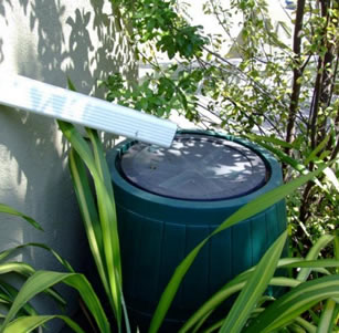 Rain Barrels and Cisterns