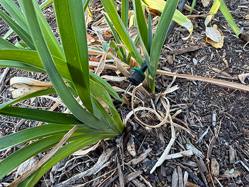 Drip irrigation system